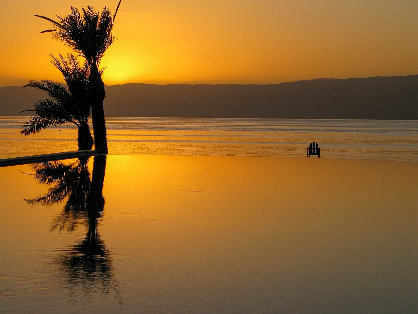 Palm trees reflected in a club pool at sunset